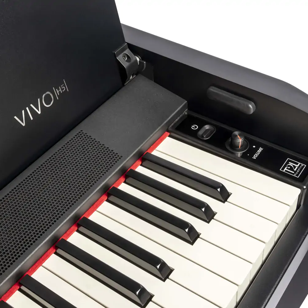 Dexibell Vivo H5 88 Hybrid Wood Keys | Digital Upright Piano