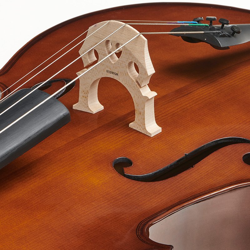 Cello Stentor Student I Satin Finish 4/4 - 1108SNA