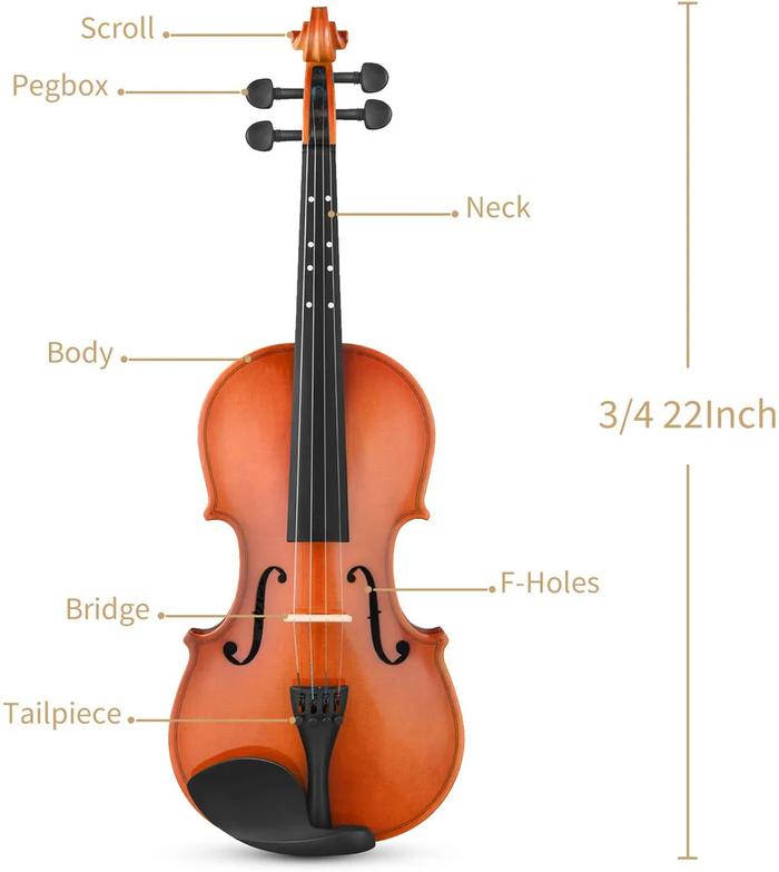 Violin Eastar EVA-2 3/4