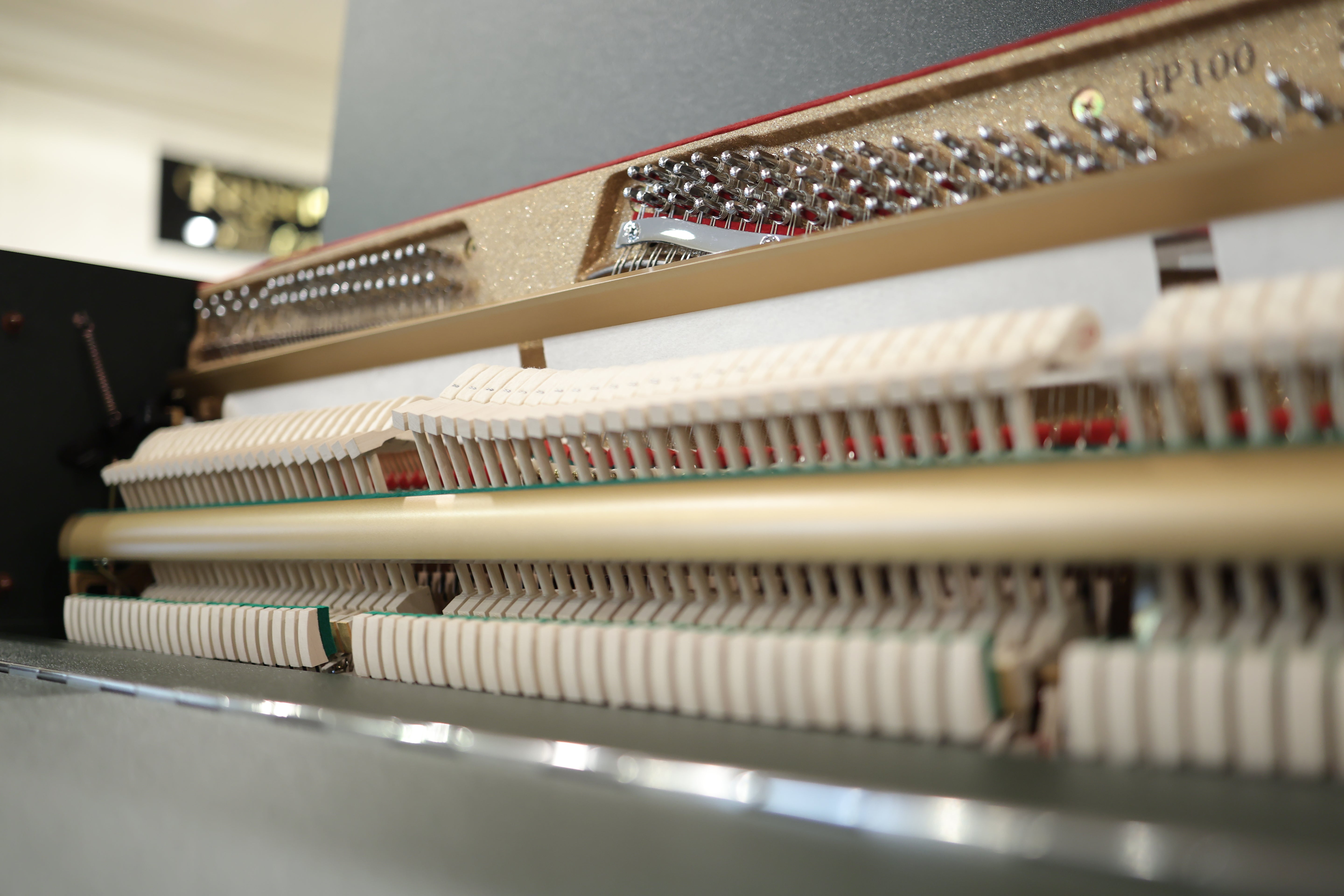 Pearl River UP100 Dark Green | Upright Piano