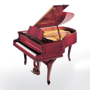 Petrof P 173 Breeze Chippendale | Grand Piano