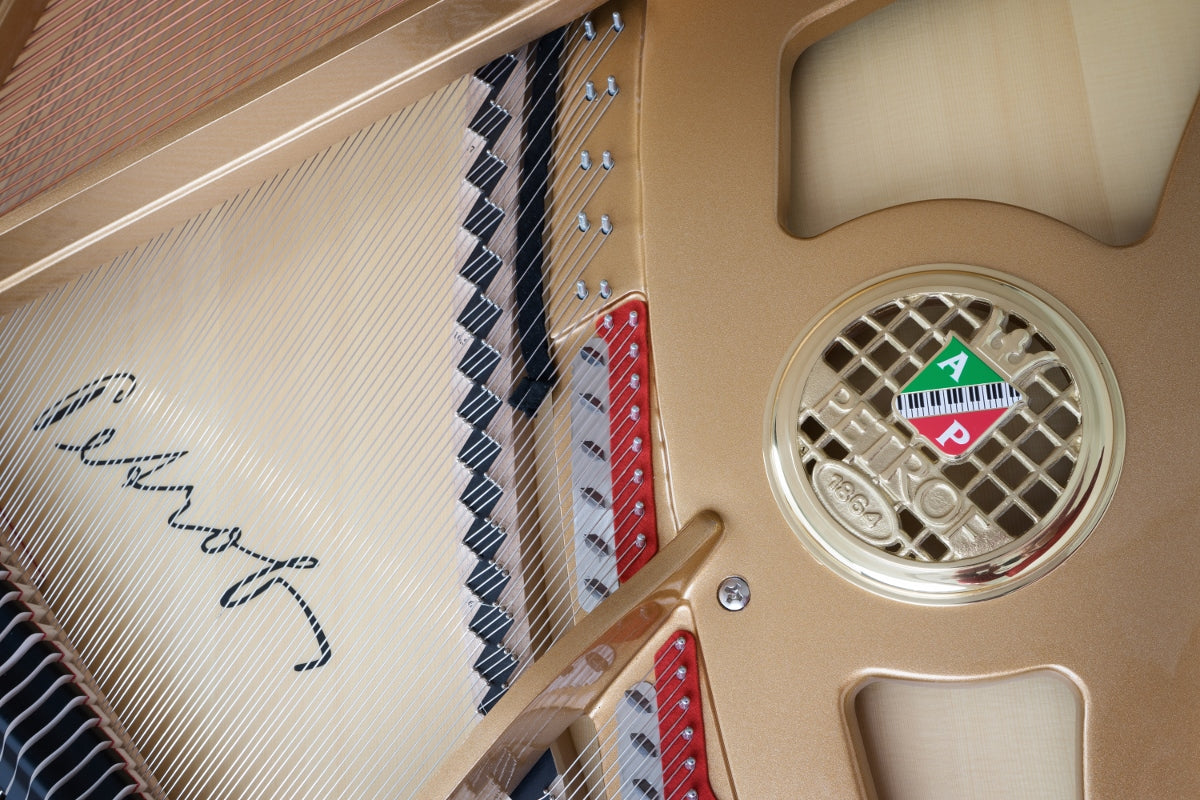 Petrof P 173 Breeze Chippendale | Grand Piano