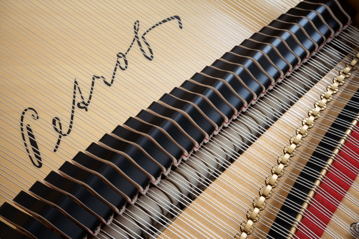 Petrof P 173 Breeze Chippendale | Grand Piano