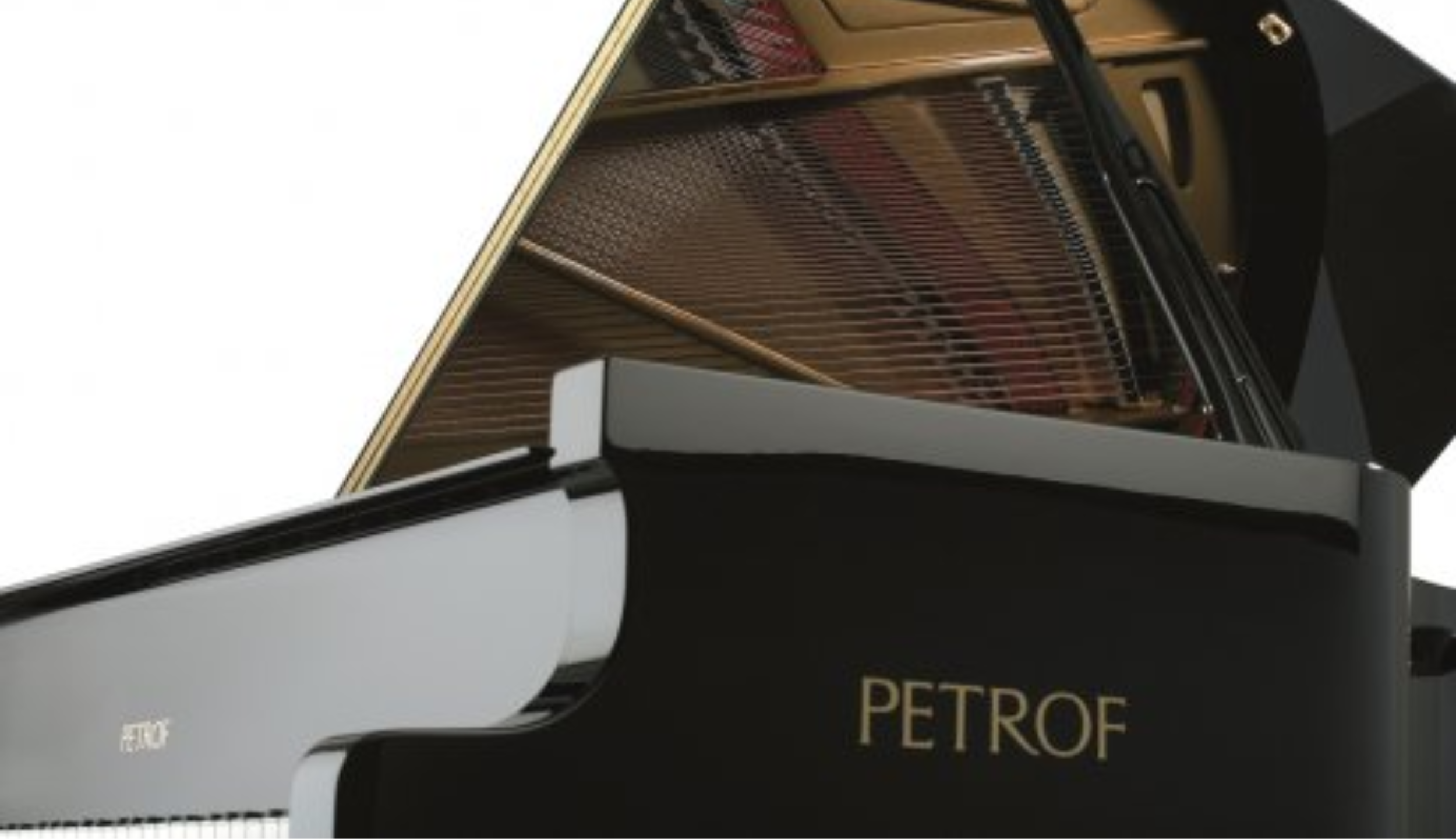 Petrof P 194 Storm | Grand Piano