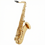 Eb Alto Saxophone Conn "Director" 27MDIR Clear Lacquer
