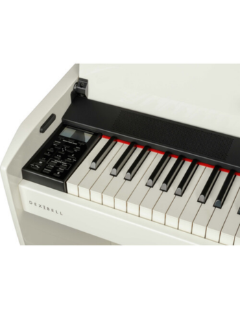 Dexibell Vivo H10 - 88 Note | Digital Grand Piano