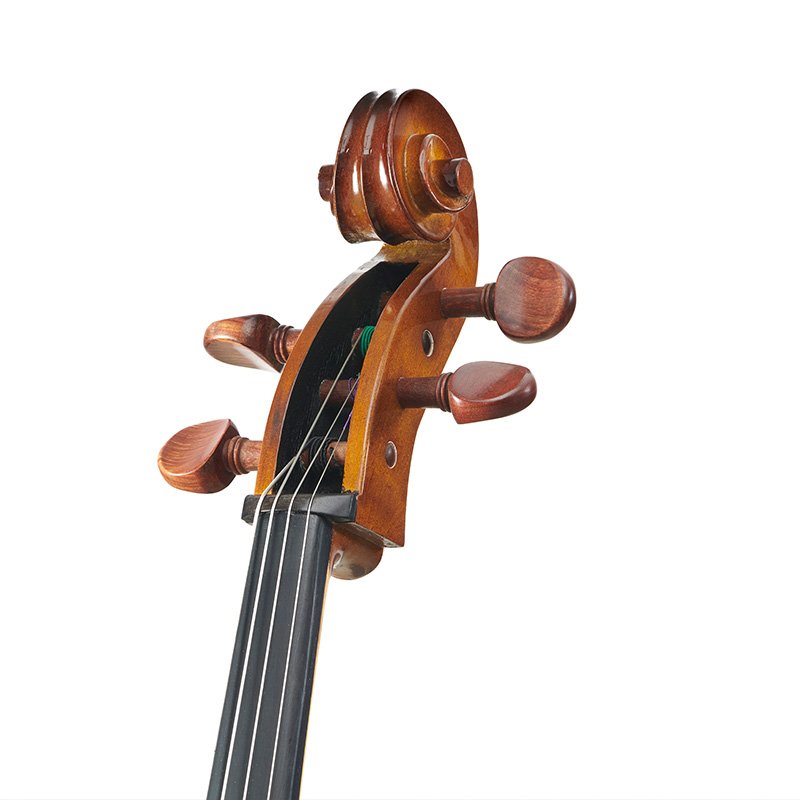 Cello Stentor Student I Satin Finish 4/4 - 1108SNA