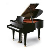 Pearl River GP160 Ebony | Grand Piano