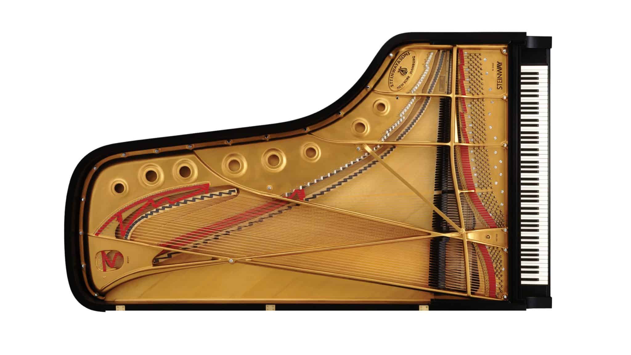 Steinway D-274 Ebonized High Polish | Grand Piano