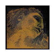 Violin String Pirastro Evah Pirazzi Gold Set Envelope - 415025