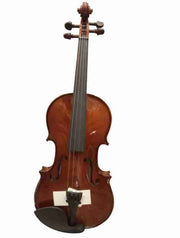 Violin Hofmann 4/4 - Mv012W